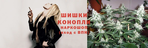 spice Алексеевка