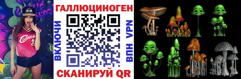 Псилоцибиновые грибы Psilocybine cubensis  Красноуральск 